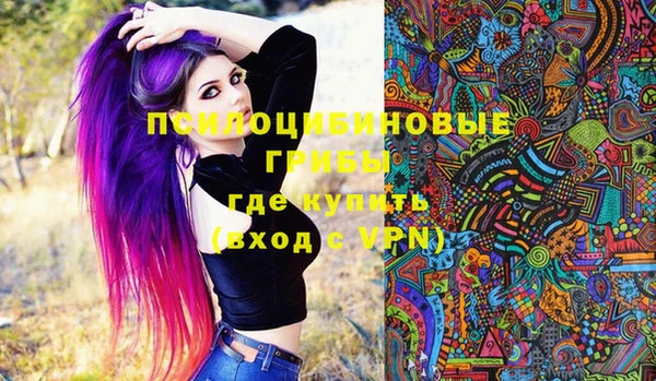 сатива Алзамай