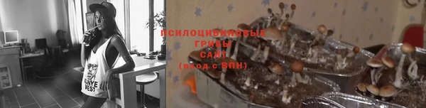 меф Армянск