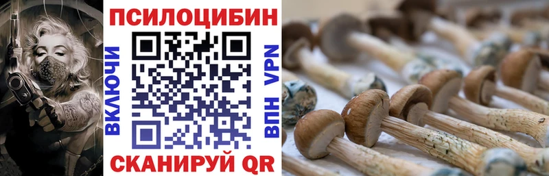 наркота  Заречный  Псилоцибиновые грибы прущие грибы 