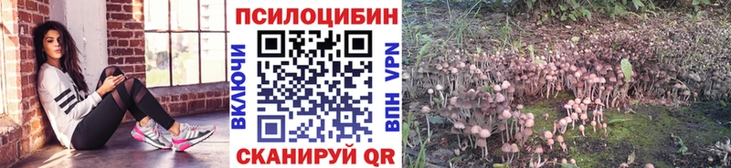 Галлюциногенные грибы Magic Shrooms Заречный